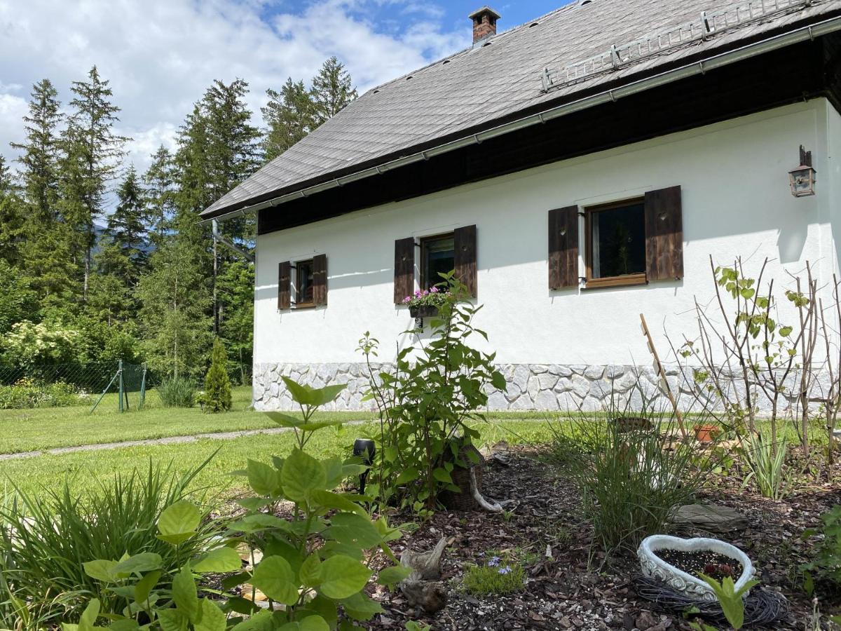 Chalet Am Weissenbach Хинтерстодер Экстерьер фото